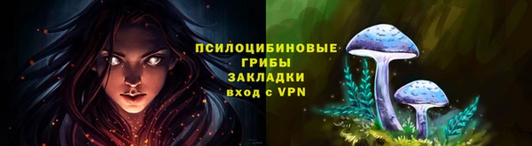 молекула духа Богородск