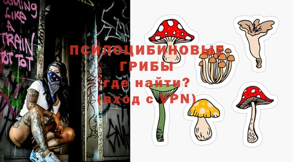 трава Богородицк