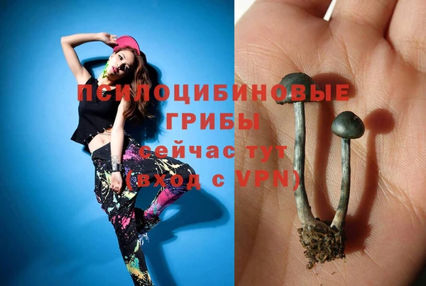 альфа пвп Богданович