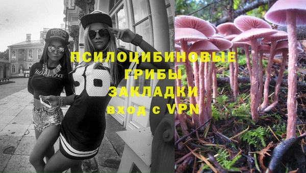 трава Богородицк