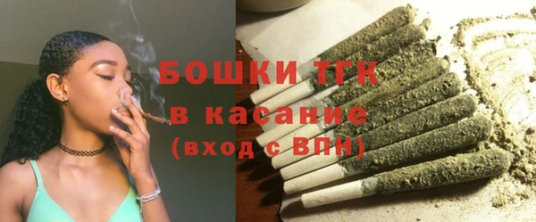 молекула духа Богородск